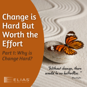 why is change hard