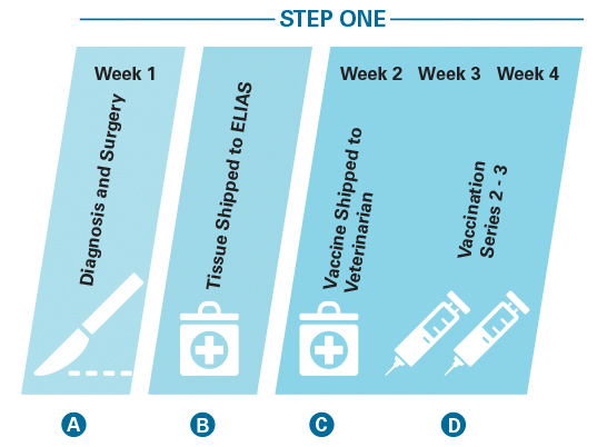 step one treatment diagram
