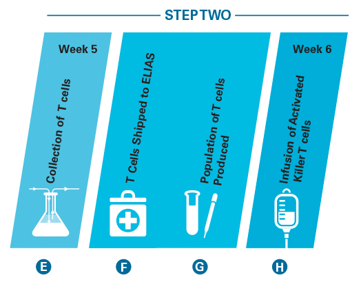 step two treatment diagram