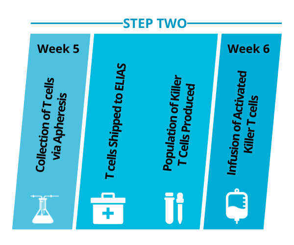 step two treatment diagram