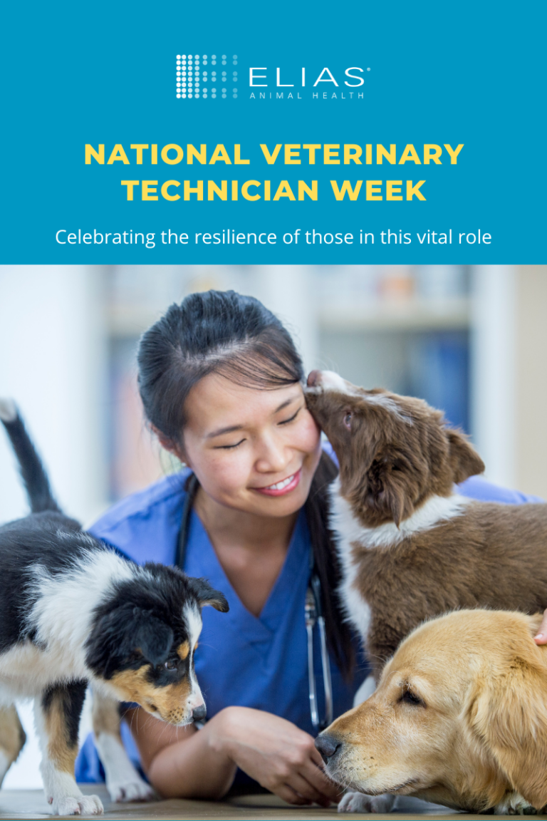 National Vet Tech Week Resilience is the Heart of Vet Med