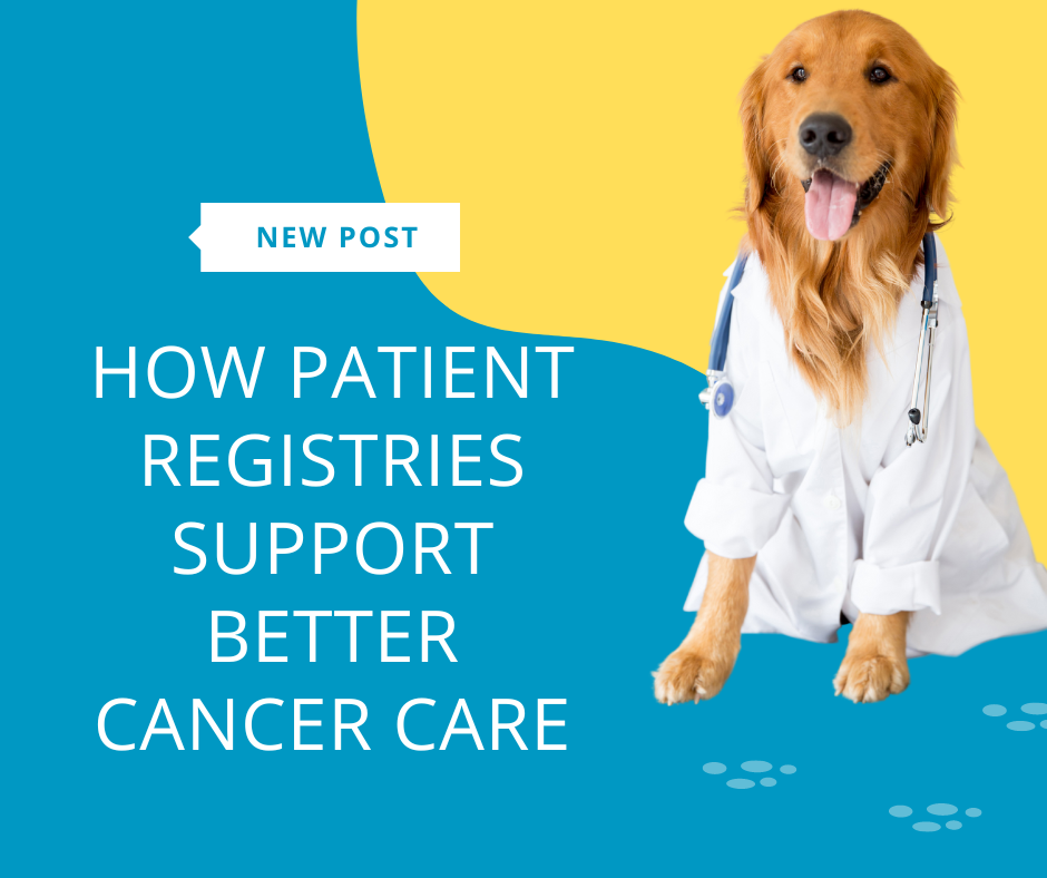 How Long-Term Patient Registries Support Better Cancer Care