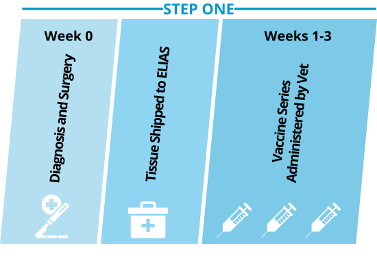 step one treatment diagram