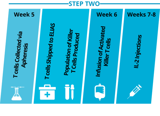 step two treatment diagram